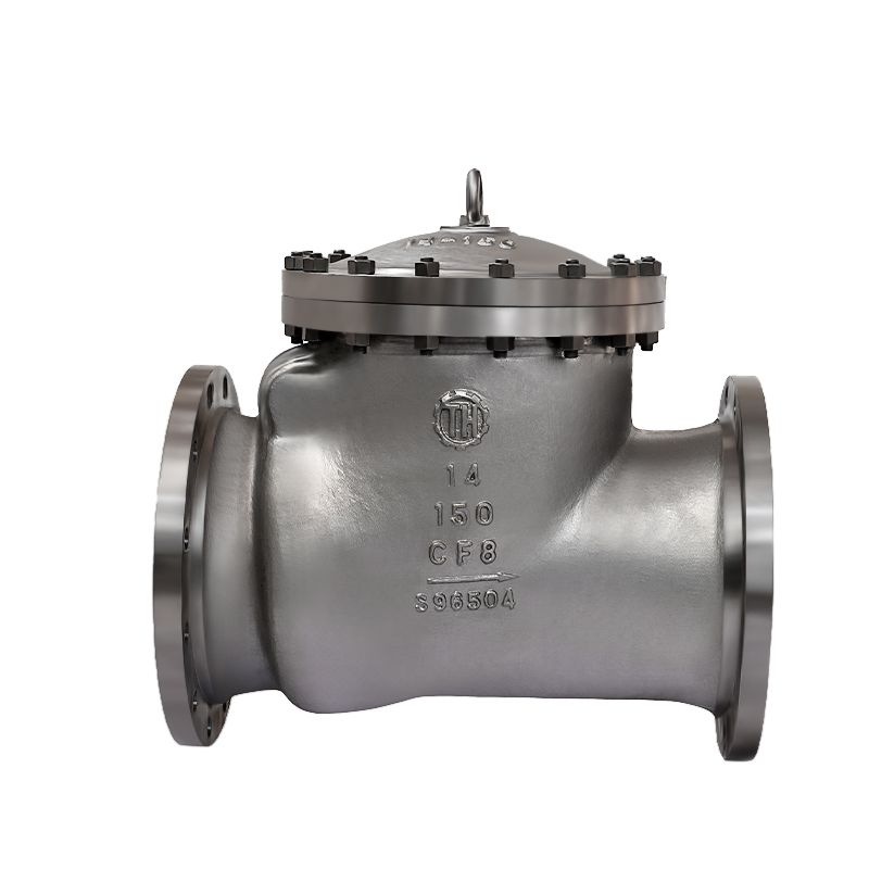 Bolted?Bonnet?Swing Check Valve (4)